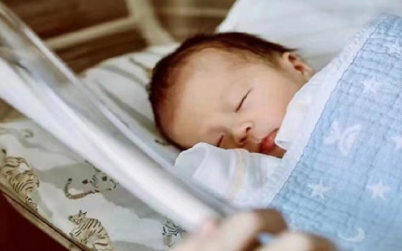 蚂蚁诱捕大号试管代生